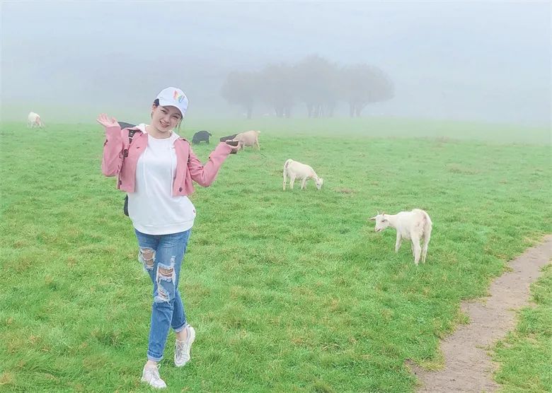 新员工特辑②|欢迎加入，梦想启航！